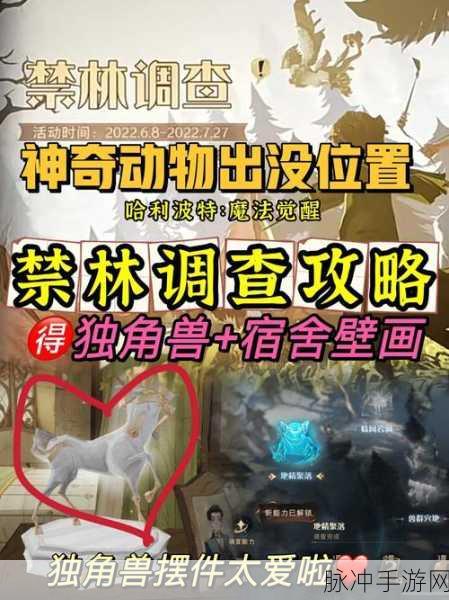 哈利波特手游挑战,挪威脊背龙通关秘籍