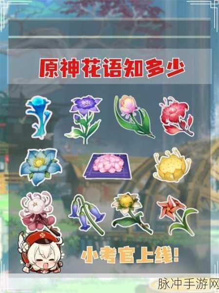 原神中塞西莉亚花的花语探秘