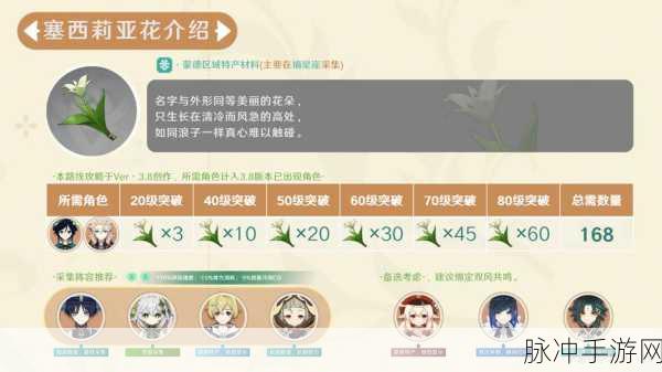 原神中塞西莉亚花的花语探秘