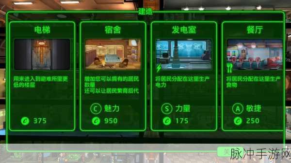 辐射避难所宝箱秘籍，解锁无限刷箱子技巧，让你资源满满！