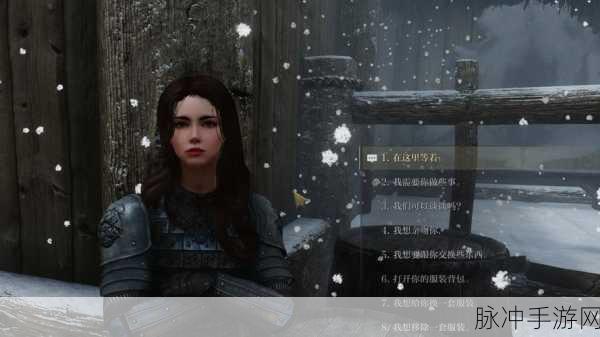 上古卷轴5与艾拉结婚全攻略,前提条件与详细步骤