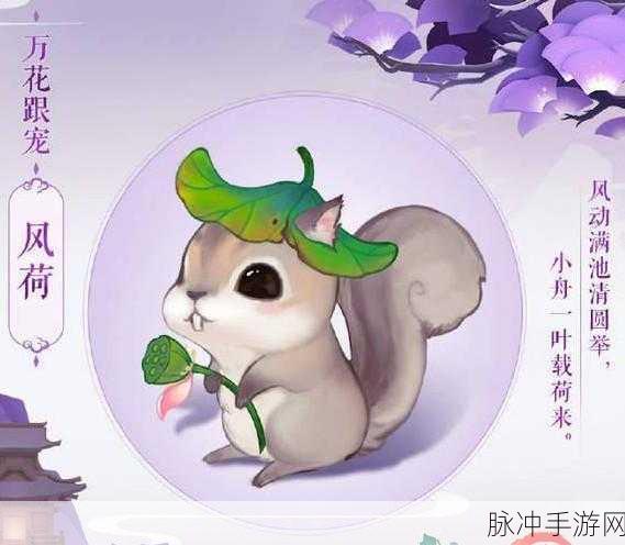 万花宠物风荷，轻松获取攻略大揭秘！
