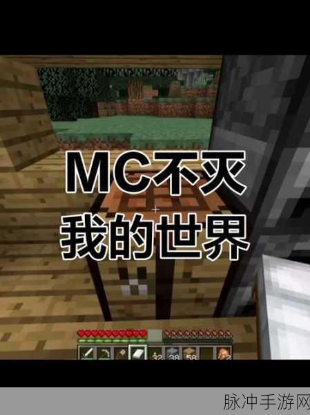 我的世界，探索无限可能的剧情与隐藏秘密