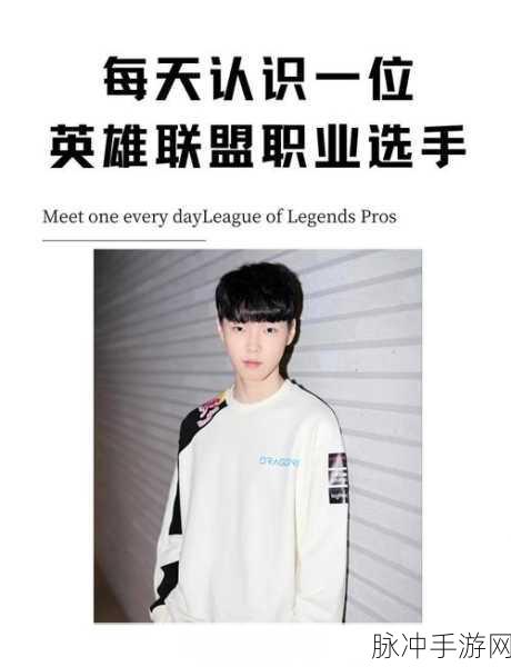 LOL传奇再现，探寻最厉害职业选手的荣耀之路