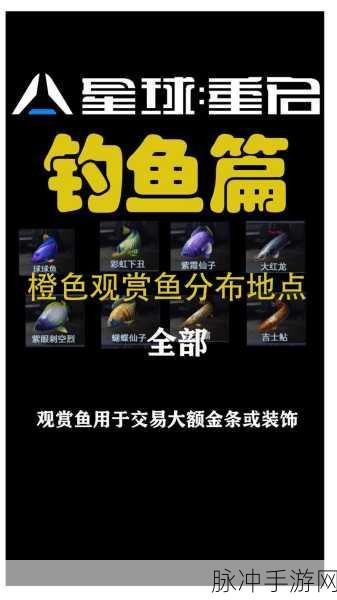 星球重启，探索未知，开启观赏鱼养殖的梦幻篇章
