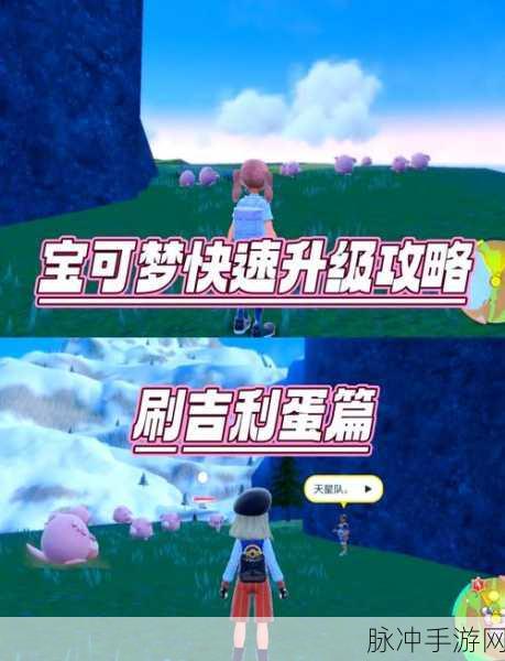 宝可梦朱紫柑果球获取秘籍，全面解锁获取途径