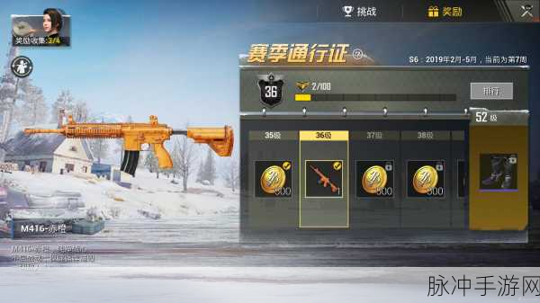 揭秘刺激战场M416皮肤价格,解锁你的战场荣耀!