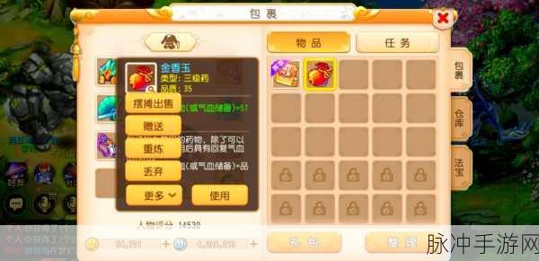 梦幻西游深度揭秘,炼药成功率背后的奥秘