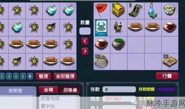 梦幻西游深度揭秘,炼药成功率背后的奥秘