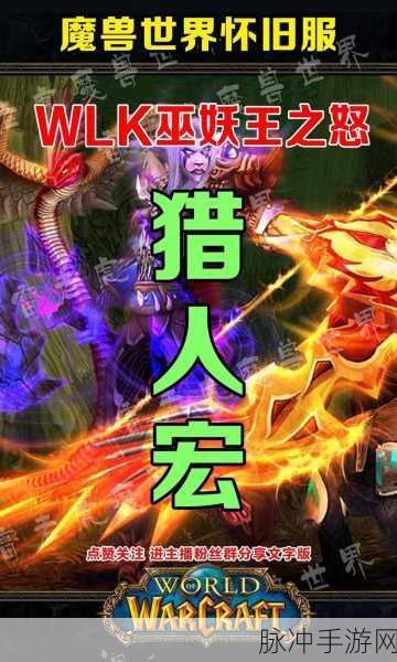RO猎人远古套装重现,踏上追寻传奇的狩猎征途