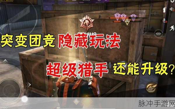 和平精英突变猎手升级攻略，解锁胖子形态秘籍