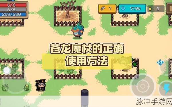 元气骑士苍龙魔杖获取全攻略，解锁BOSS级红武的奥秘