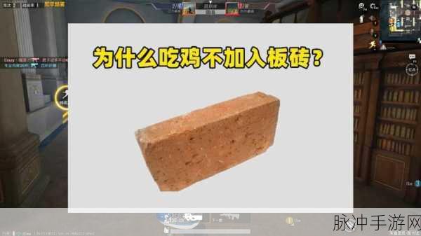 和平精英,揭秘吃鸡后3块板砖的奇妙用途