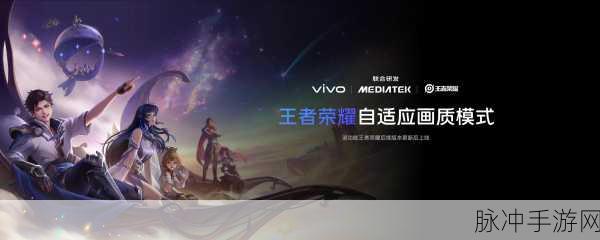 vivo手机玩王者荣耀为何屏幕横屏放大？