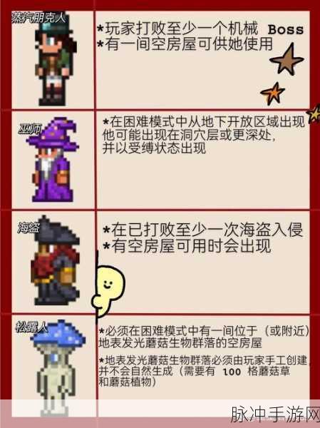 泰拉瑞亚,打造护士钟爱的温馨庇护所全攻略