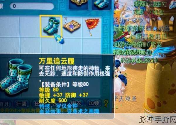 梦幻西游暗雷改版,解锁传说新技巧,挑战与机遇并存
