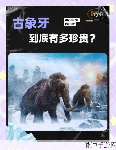 创造与魔法象牙获取全攻略,揭秘象牙的珍贵来源
