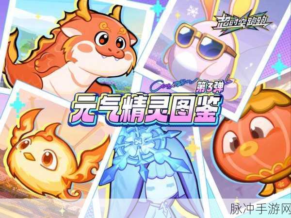 元气骑士新篇章,花园熊猫,揭秘神秘伙伴的守护与互动奥秘