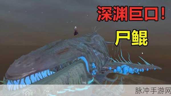 妄想山海鲲的进化之谜，满级并非唯一条件