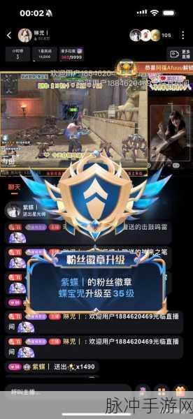 斗鱼王者荣耀直播,揭秘手机游戏的直播奥秘