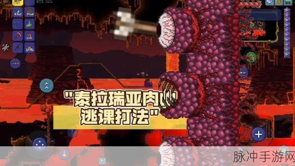 泰拉瑞亚肉山前，探索攻击最强武器的奥秘