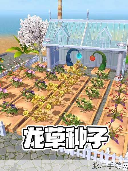 创造与魔法，揭秘龙草刷新地点，助你驰骋游戏世界