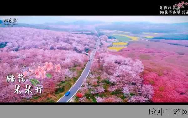 封神桃花攻略盛行，带你探寻梦幻桃花源