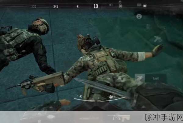暗区突围深度解析,白狼与黑金,你的终极之选?