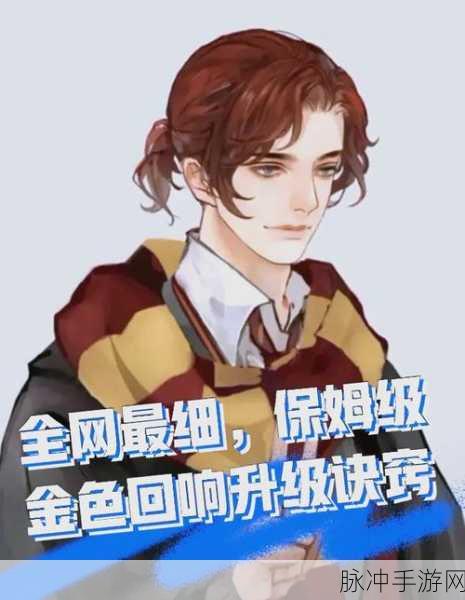 揭秘哈利金色贝拉回响获取秘籍