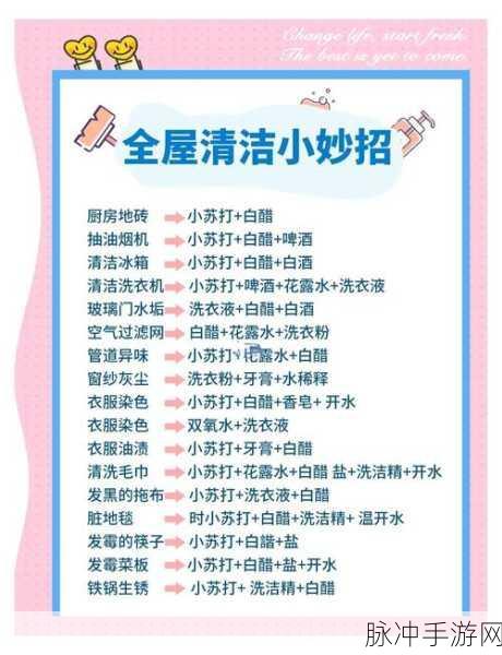 宝宝家园清洁大作战，模拟家务新体验等你来享