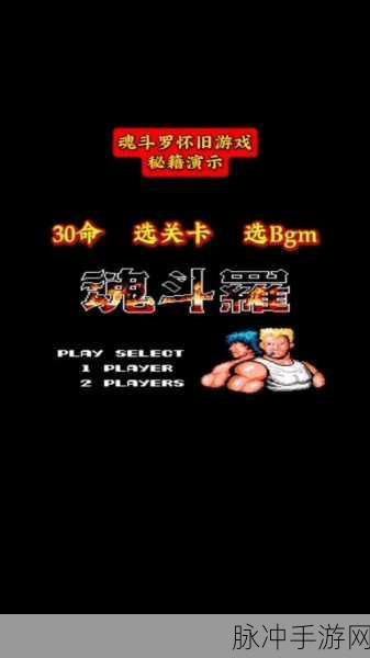 小霸王魂斗罗秘籍,轻松解锁30条命