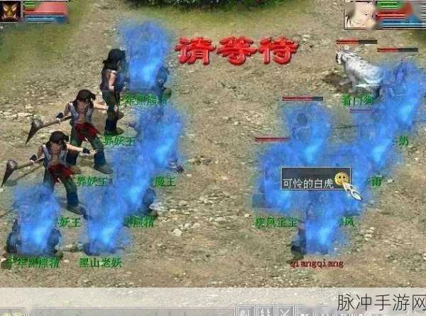 大话西游二，揭秘三界妖王的惊人血量与攻略秘籍