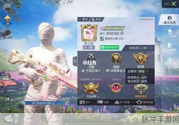 和平精英淘汰分与排名分全解析