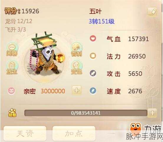 大话西游手游深度揭秘,五星伙伴敏捷属性的终极奥义