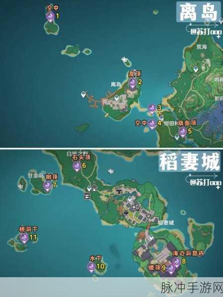 原神雷神瞳全图探索与获取秘籍