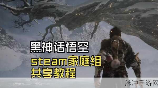 黑神话悟空Steam版能否开启家庭共享冒险？