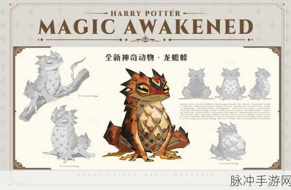 哈利波特魔法觉醒，揭秘龙爪粉末的神奇与寻觅之旅