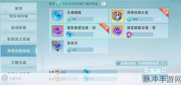 天下手游80云麓全攻略，装备甄选与成长路径