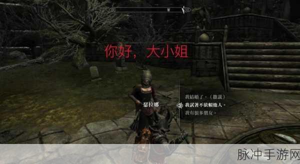 上古卷轴深度探索，新手进阶大师的全面攻略