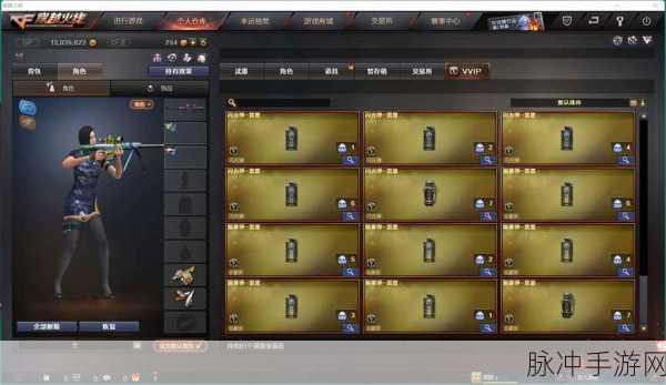 CF玩家终极指南，揭秘黑龙武器全解锁秘籍