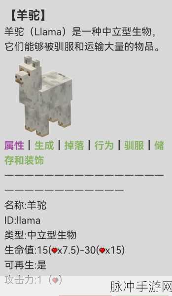我的世界深度探索，羊驼驯服秘籍大公开