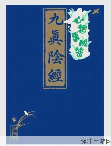 九阴真经天山内功大揭秘,武林秘籍掀起新波澜