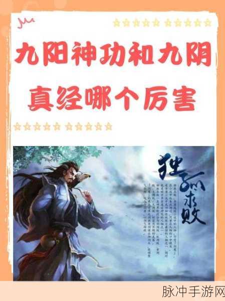 九阴真经天山内功大揭秘,武林秘籍掀起新波澜