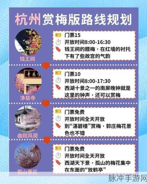 烟雨江湖梅花步法,从入门到精通的全方位学习攻略