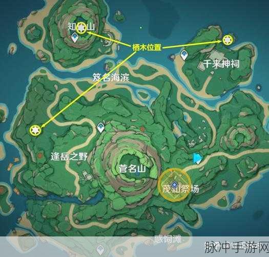原神探索迷雾，破坏三个栖木位置全揭秘