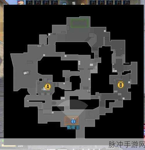CF手游荒岛特训，解锁安全区奥秘，制胜生存战场全攻略