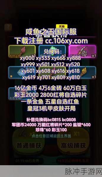 咸鱼之王灵贝,解锁游戏新境界的钥匙