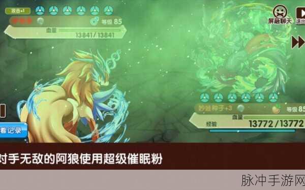 宝可梦剑盾深度探索,萨戮德最强配招与招式特性全览
