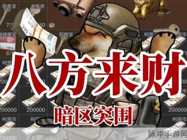 暗区突围,战术行动深度解析,揭秘财富累积的不二法门