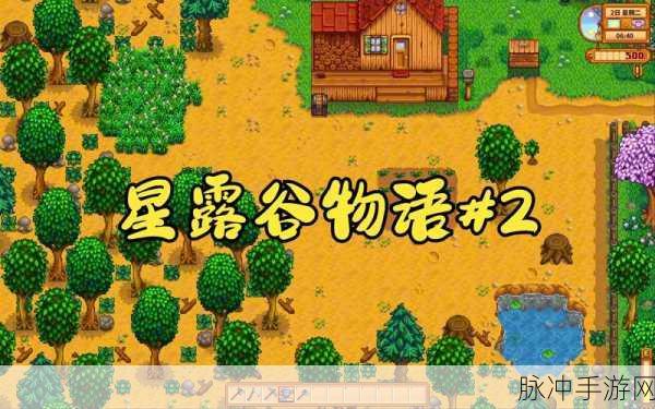 星露谷物语深度探索，璀璨宝石中的王者之谜